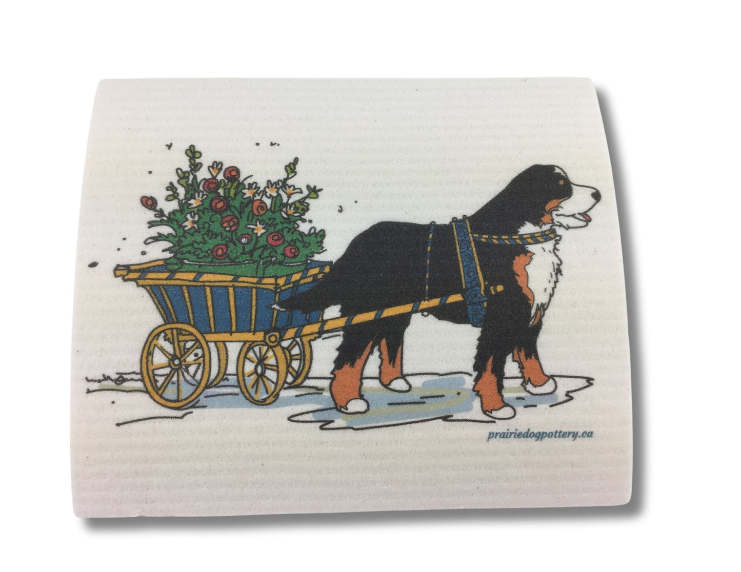 Berner pulling a blue cart full of flowers.